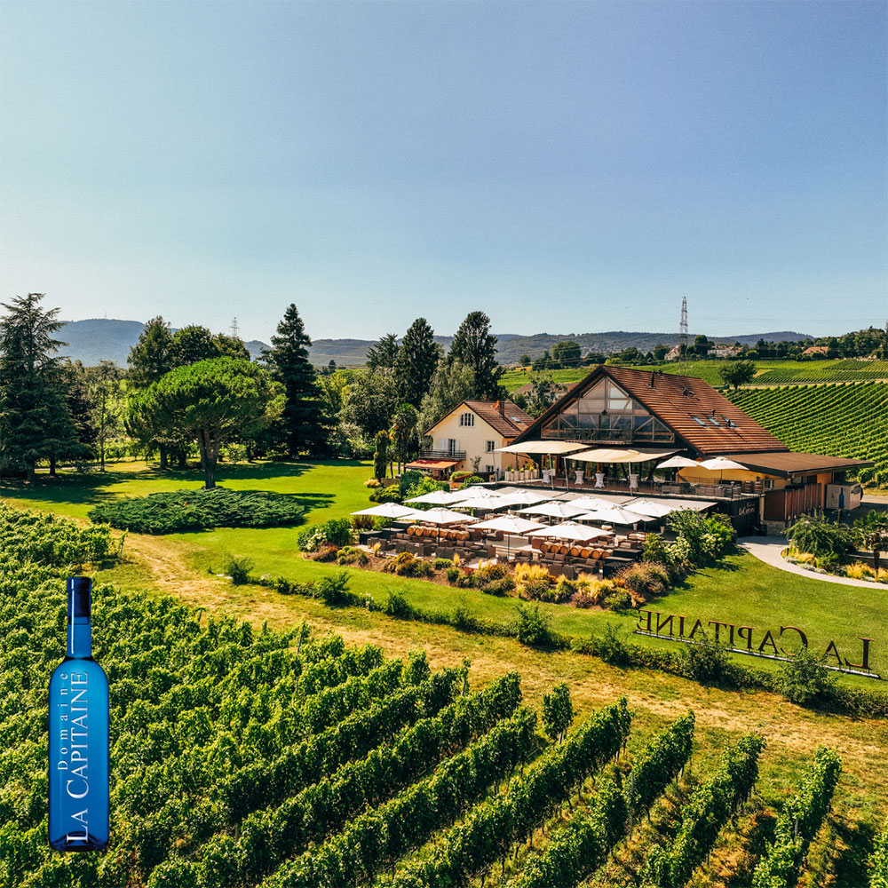 Salon Divinum | Lot Concours