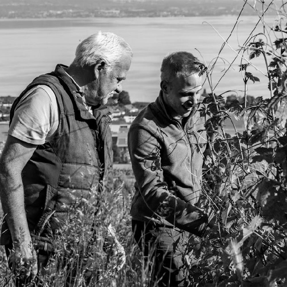 Salon Divinum | Lot Concours