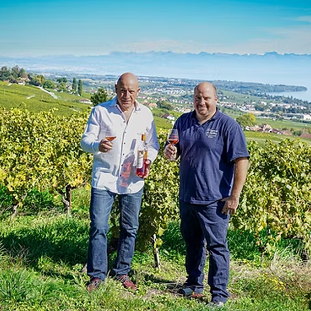 Salon Divinum | Lot Concours