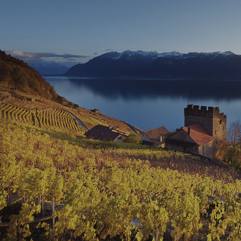 Salon Divinum | Lot Concours